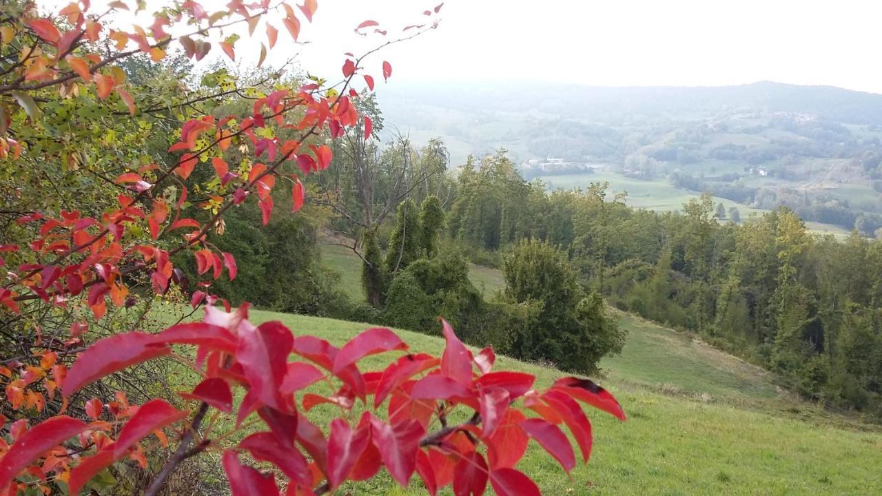 فيلا Lama Mocognoفي Uno Chalet Nel Bosco المظهر الخارجي الصورة