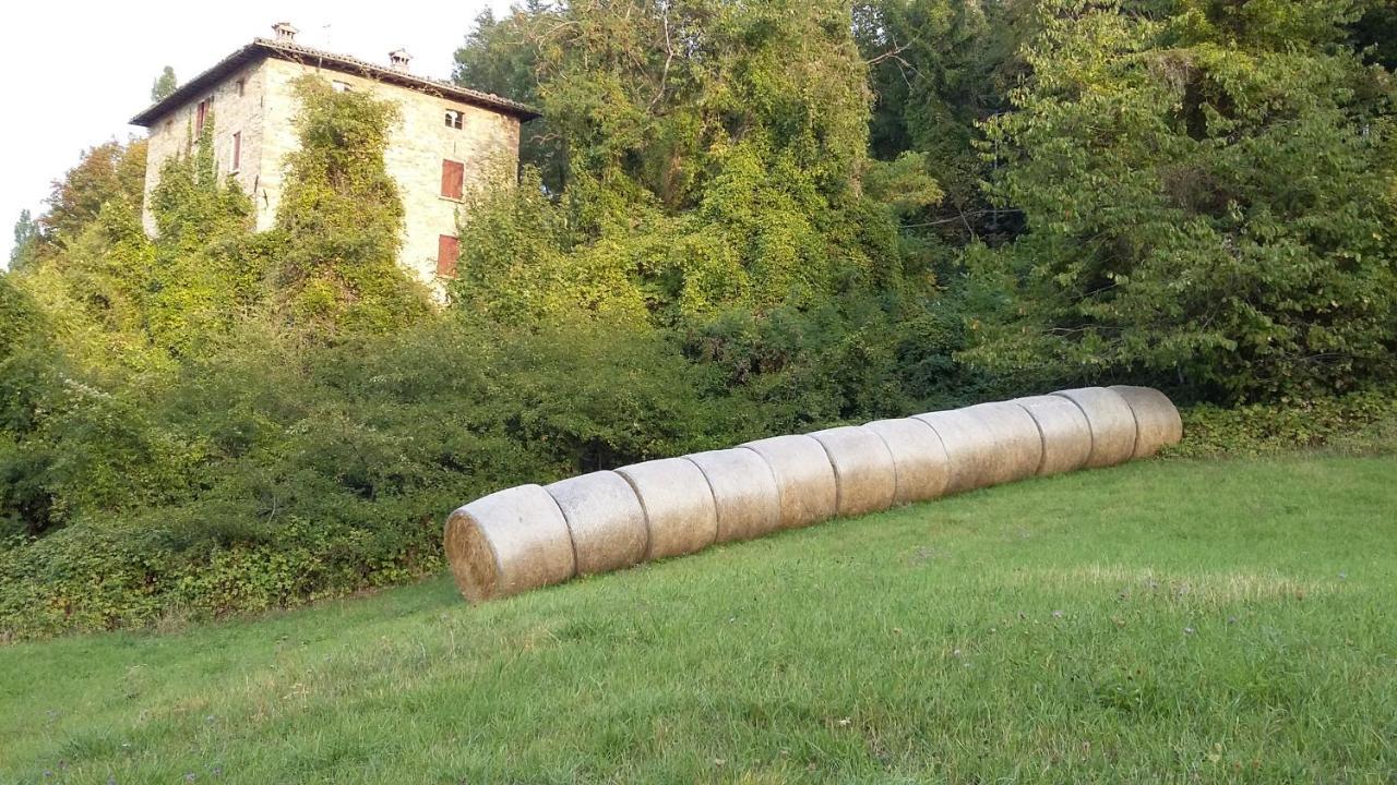 فيلا Lama Mocognoفي Uno Chalet Nel Bosco المظهر الخارجي الصورة